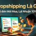 Dropshipping Là Gì?Có Đơn Mới Mua, Lợi Nhuận 10%+