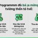 Lập Trình Tại Nhà: Cách Kiếm Tiền Hiệu Quả Cho Bạn